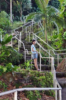 Crooked Stairs to top of Waterfall